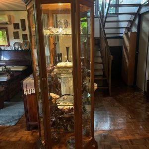 Modern Hexagonal Lighted Wood and Glass Display Case