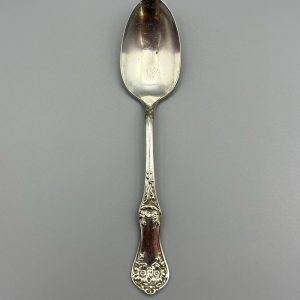 Silver Plated Teaspoon Oneida Community Aix Colorado Souvenir